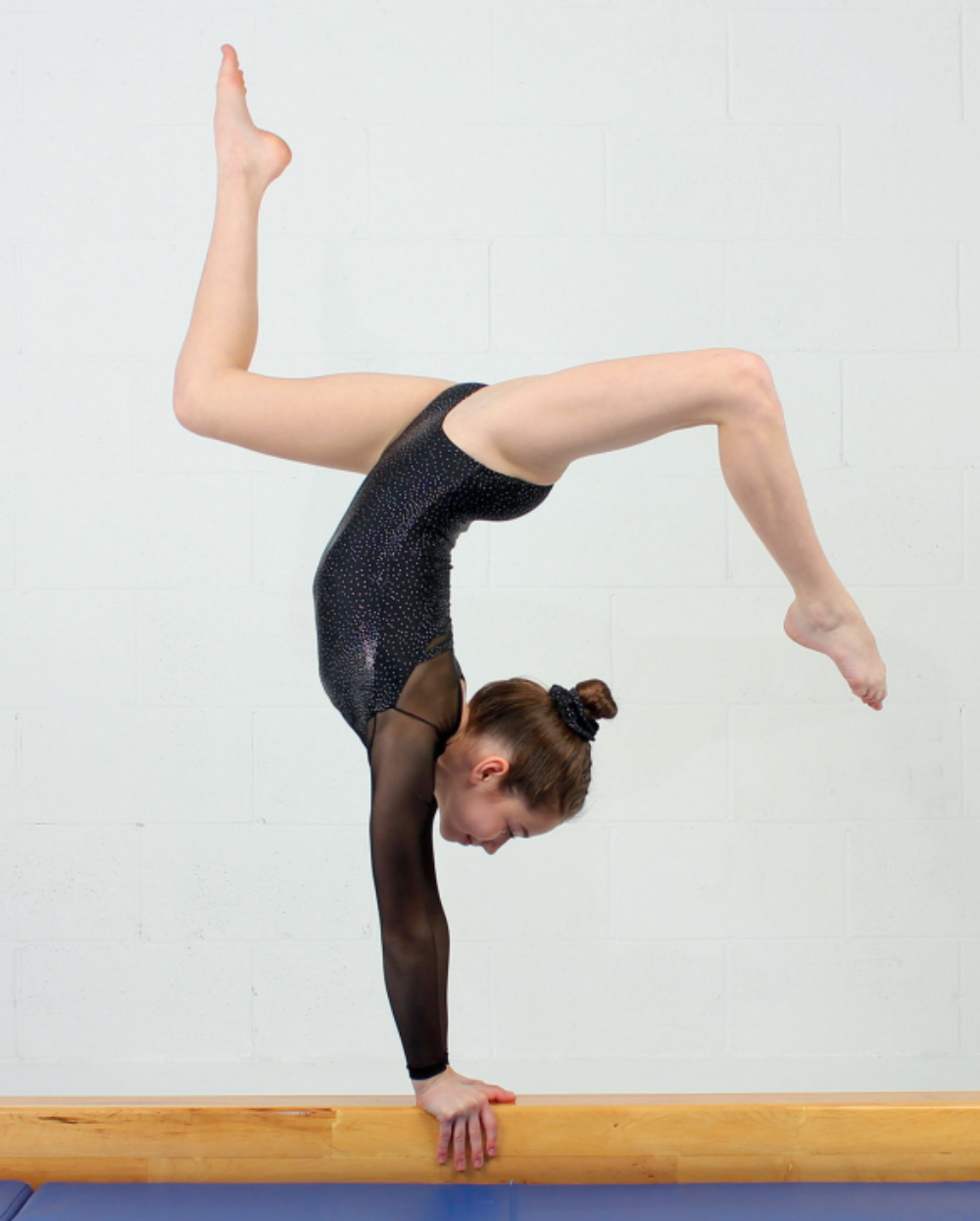 Mesh Long Sleeve Gym Leotard